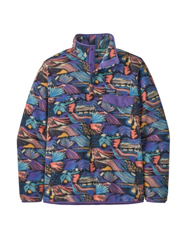 Patagonia Lightweight Synchilla Snap-T Fleece Pullover en ligne