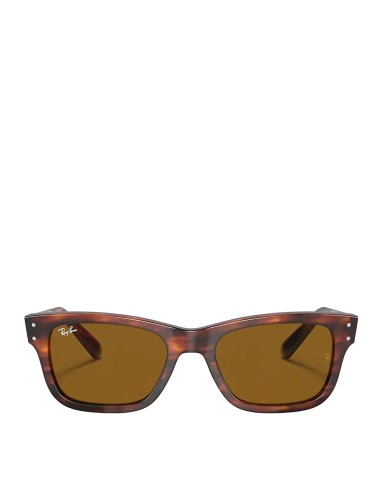 Ray-Ban Mr Burbank RB2283 Sunglasses Striped Havana / Brown pas chere