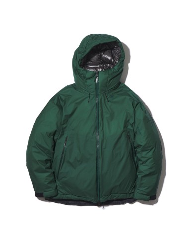 Goldwin GORE-TEX Windstopper Down Parka Deep Green meilleur choix